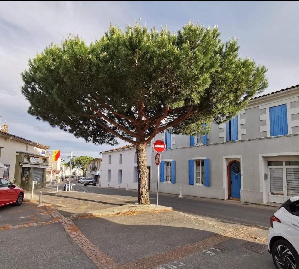 Charmant Appartement Dans Centre Meschers/Gironde מראה חיצוני תמונה